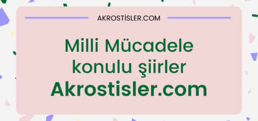 milli mücadele konulu şiirler